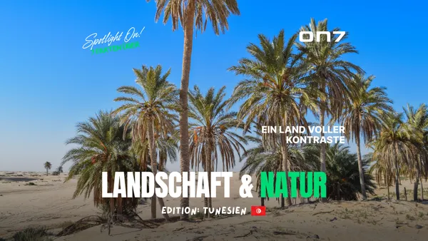 Banner zum Blogartikel Spotlight ON! 7 Fakten über Tunesiens Landschaft