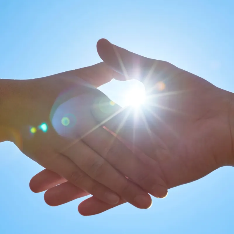 Gesamtverantwortung & Partnerpflichten